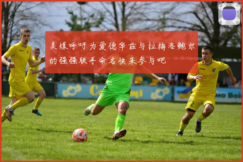 美媒呼吁为爱德华兹与拉梅洛鲍尔的强强联手命名快来参与吧