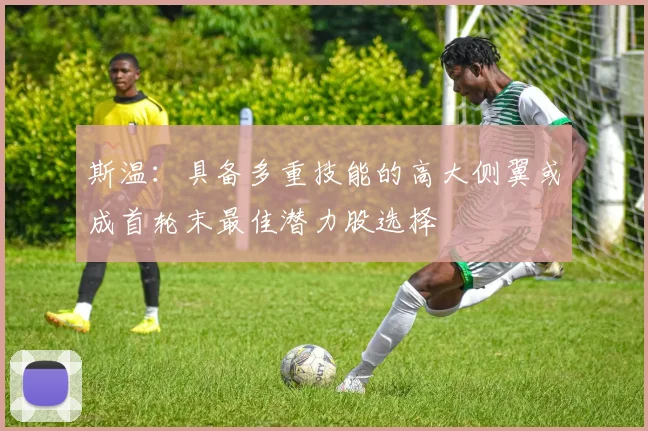 斯温：具备多重技能的高大侧翼或成首轮末最佳潜力股选择