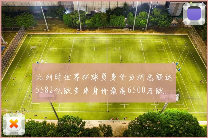 比利时世界杯球员身价分析总额达5582亿欧多库身价最高6500万欧